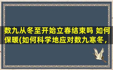 数九从冬至开始立春结束吗 如何保暖(如何科学地应对数九寒冬，给你的生活带来舒适保暖？)